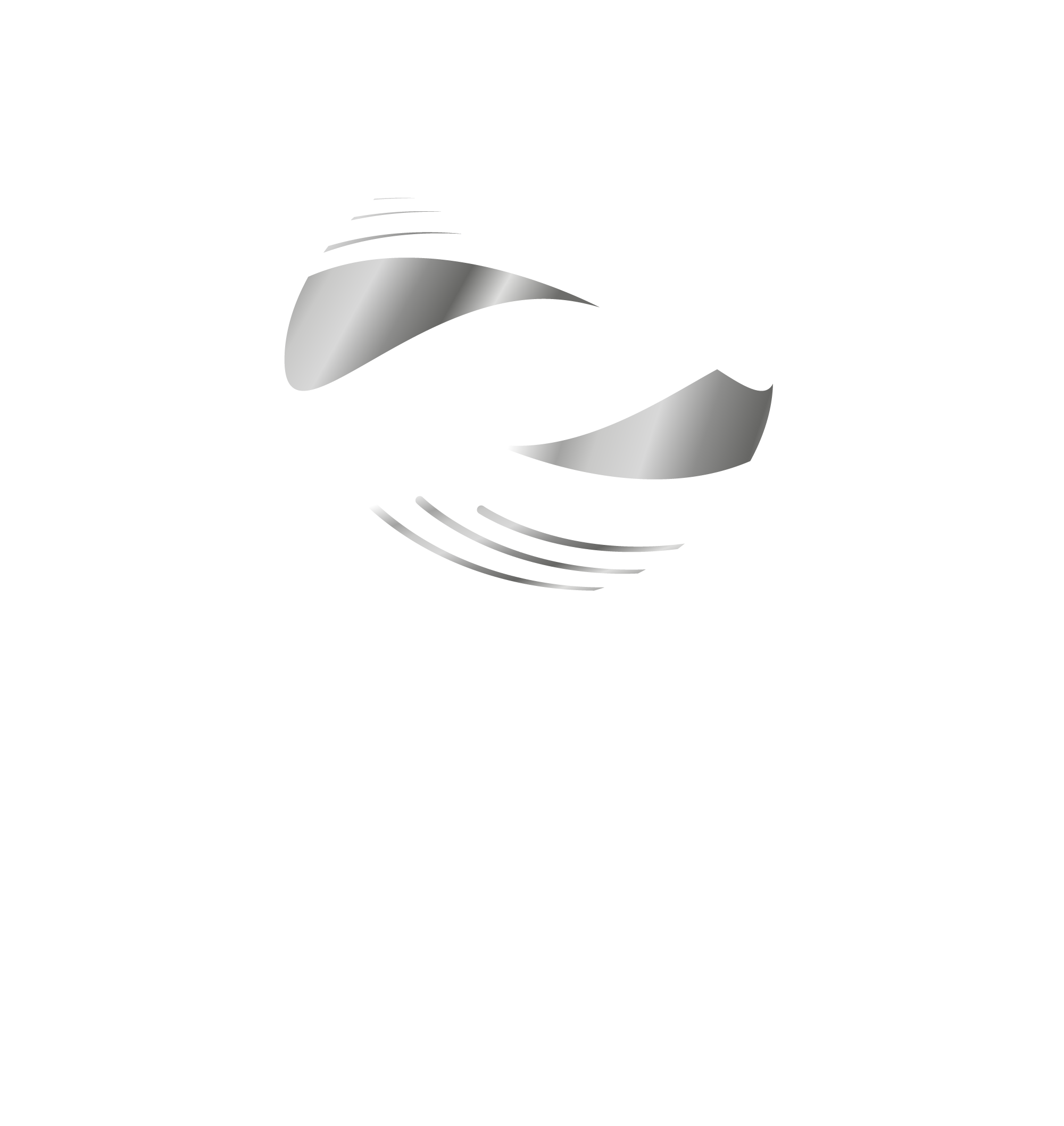 DSN SARL